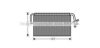 AVA QUALITY COOLING MSV543 Evaporator, air conditioning
